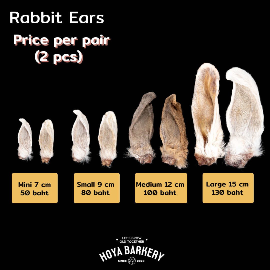 RAbbit ear small