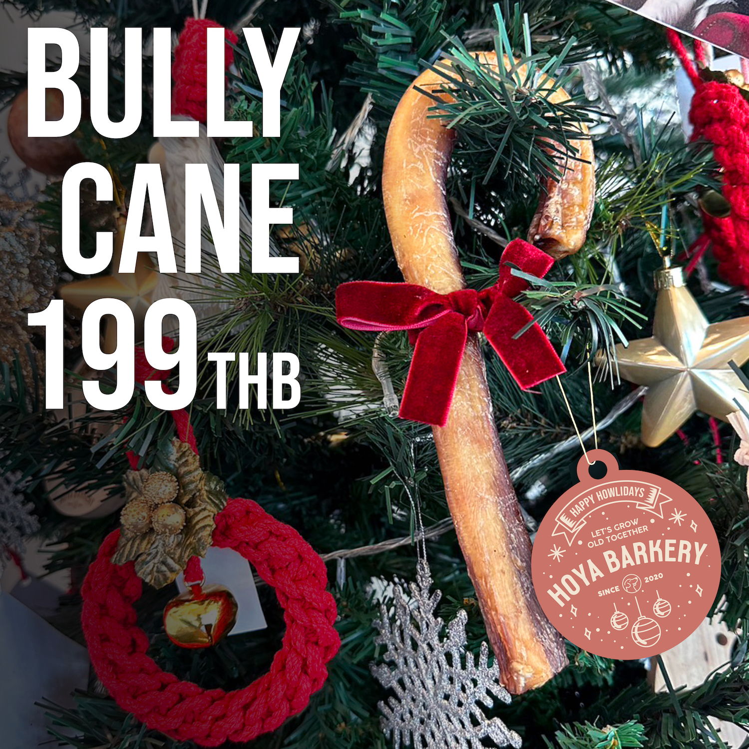 bully cane