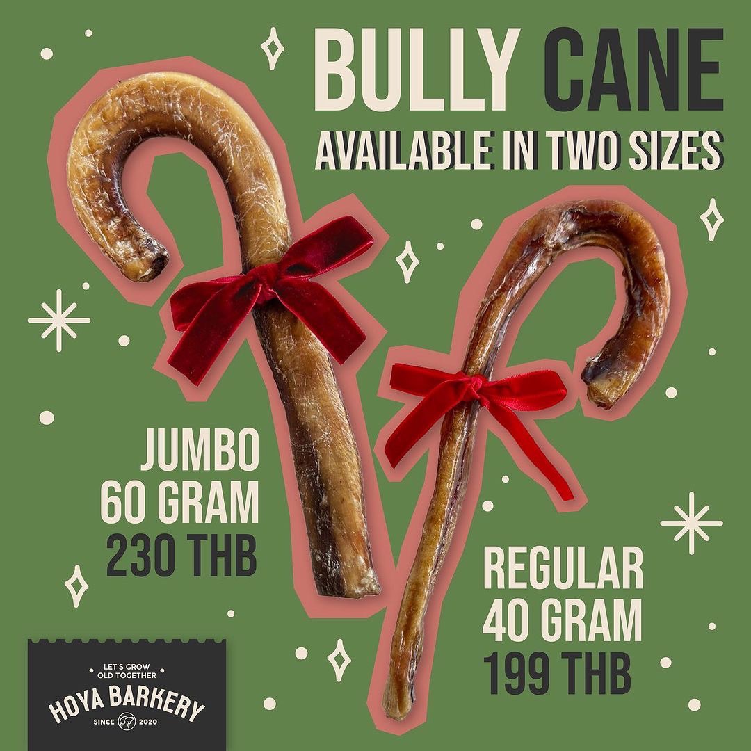 bully cane